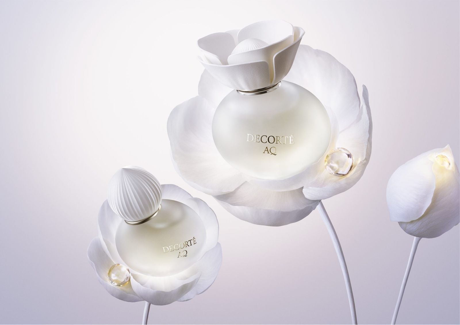 コスメデコルテ」“AQ”に初のフレグランス シリーズキー成分の金香木